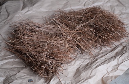 Pine Needles for Sale